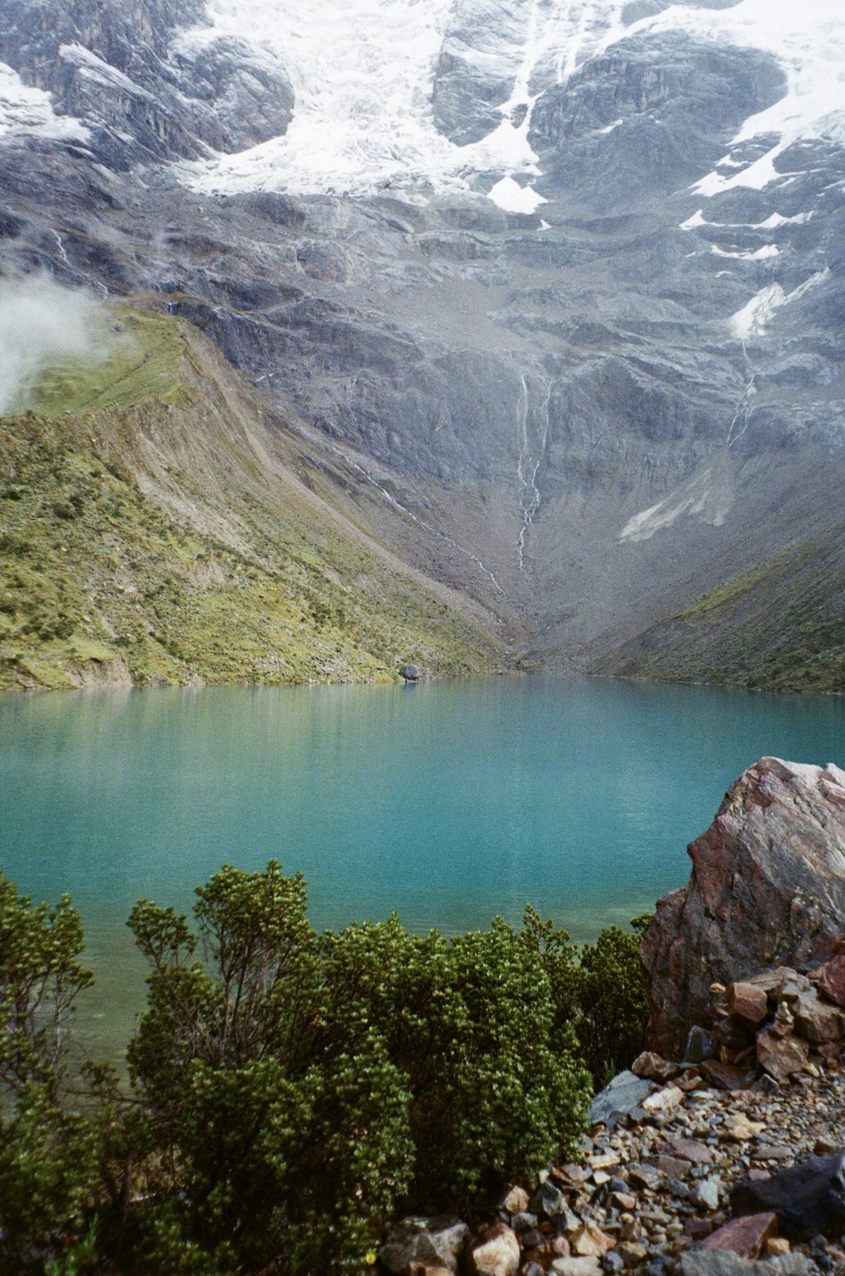 Film photograph 4 by Ksenia Li