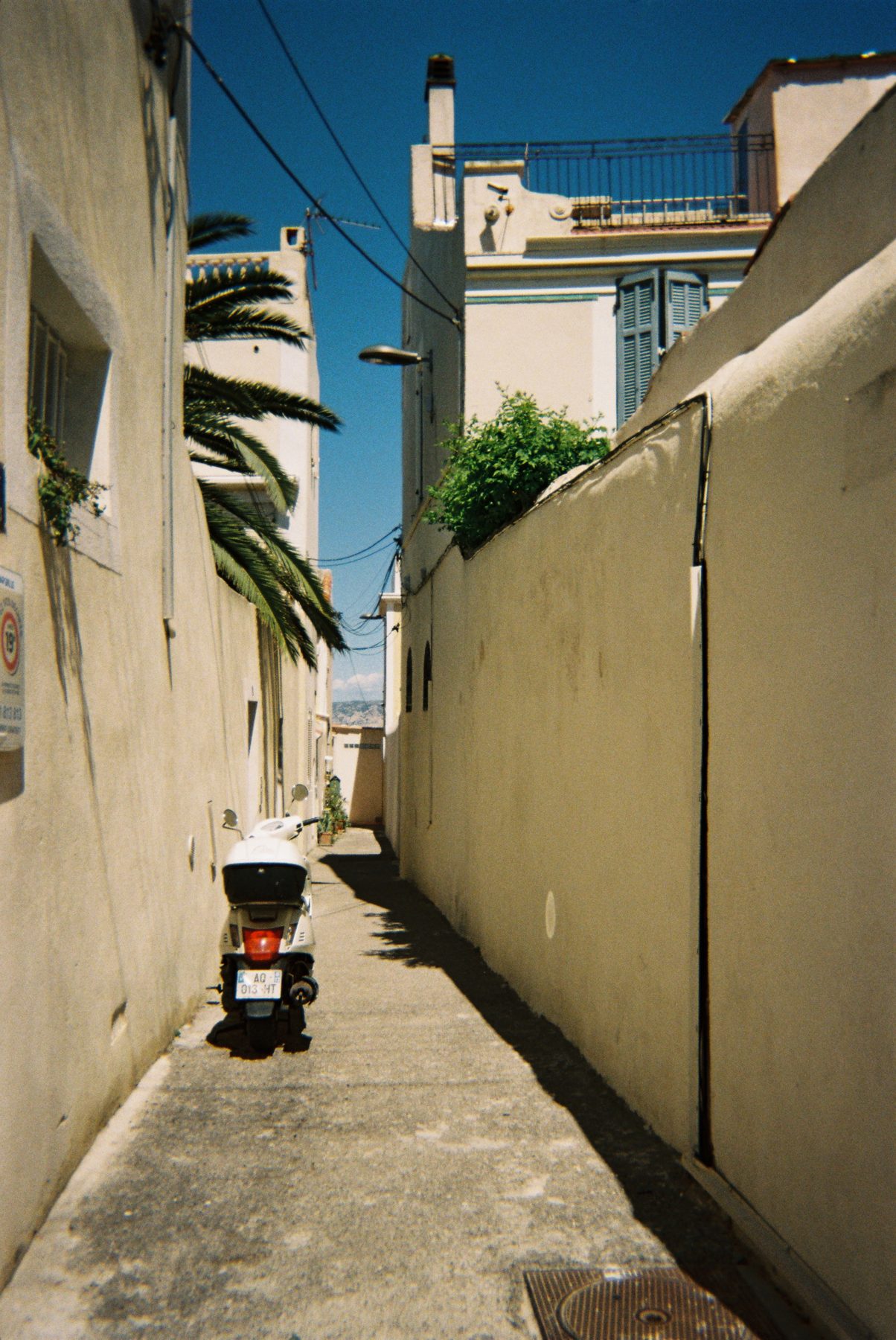 Film photograph 5 by Ksenia Li