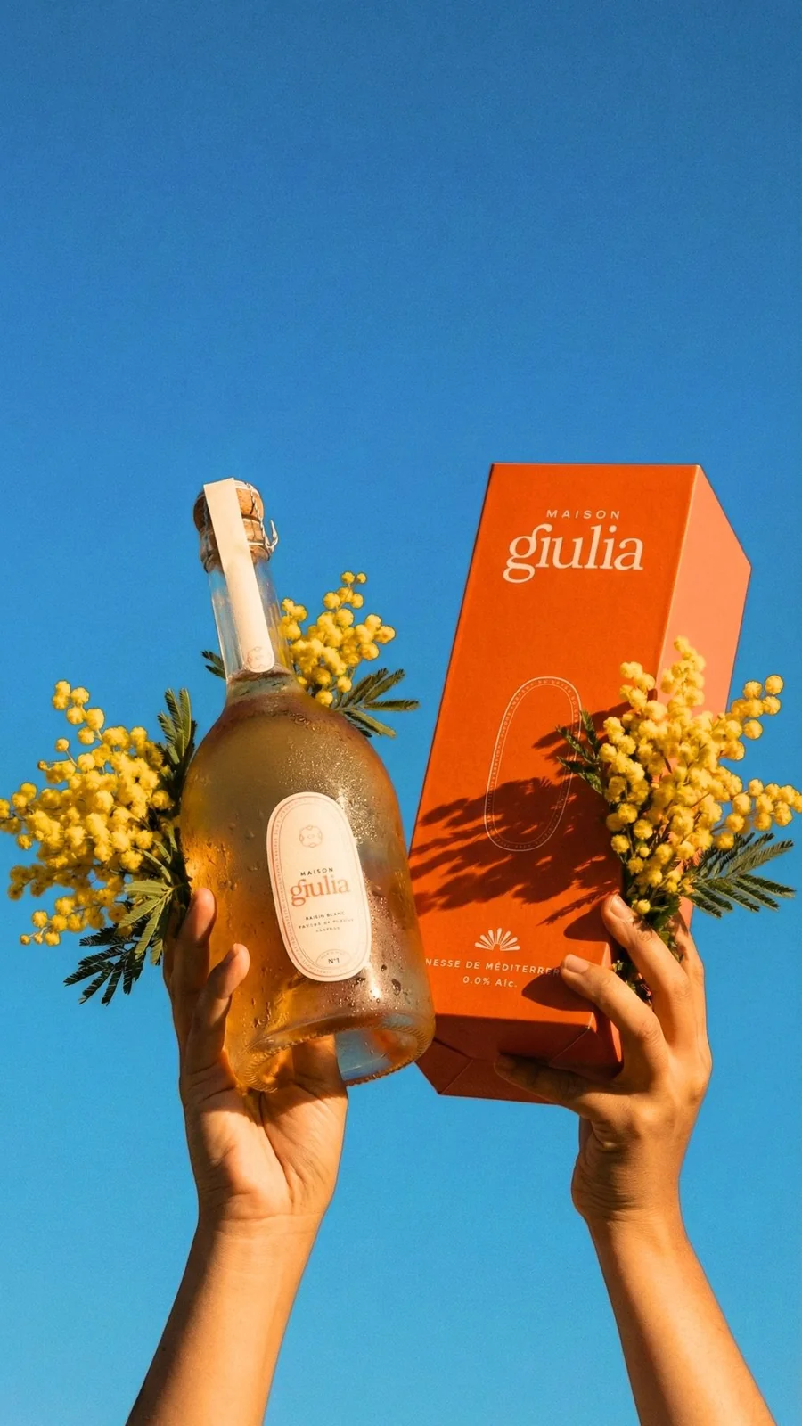 Maison Giulia box design