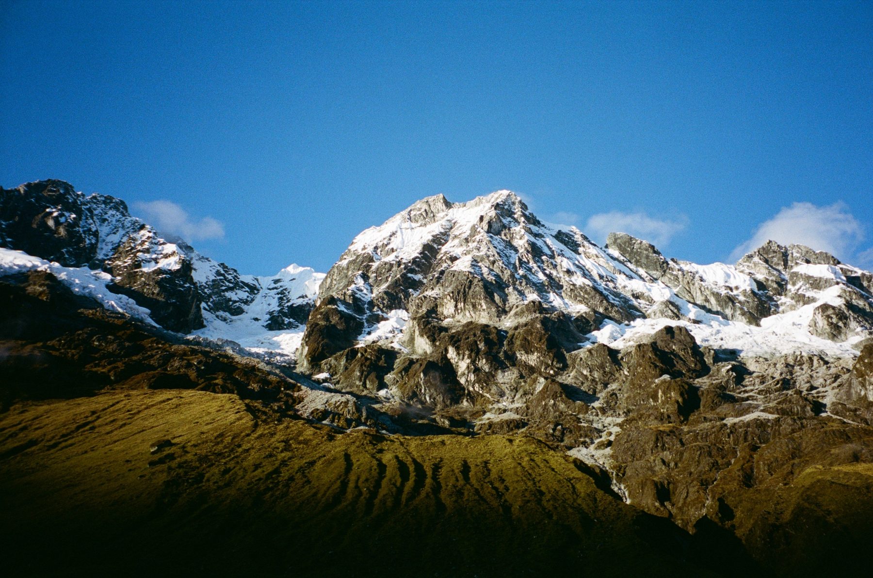 Film photograph 1 by Ksenia Li