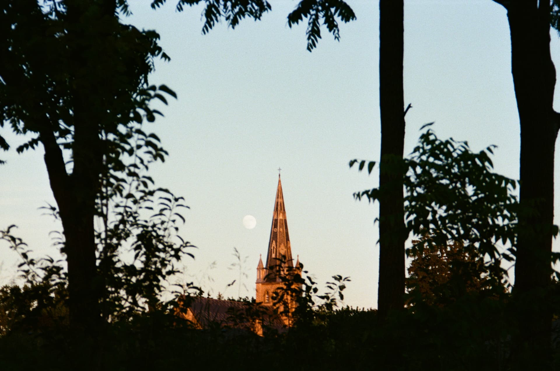 Film photograph 10 by Ksenia Li
